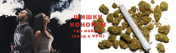 стаф Дубовка