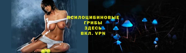 хмурый Нефтекумск