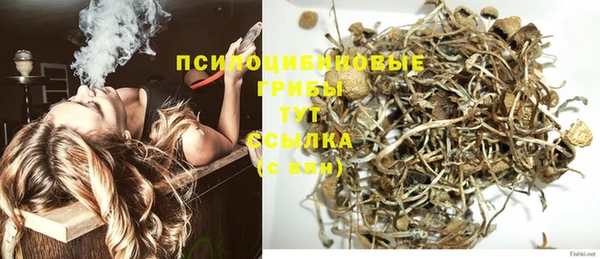 apvp Нефтегорск