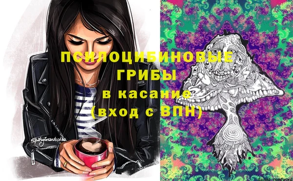меф Дубна